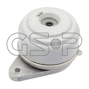 530139 GSP