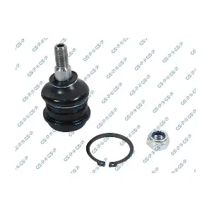 GSP S080098
