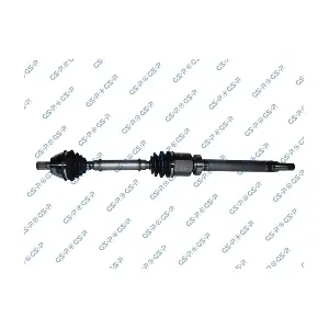 GSP 218190