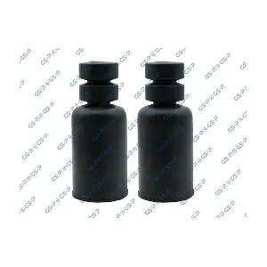 5406290PK GSP