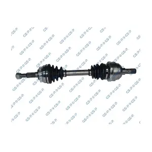 GSP 244011