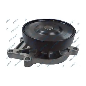 WP901021 GSP