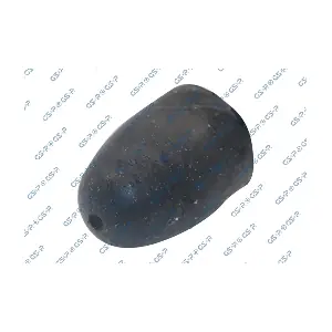 538138 GSP