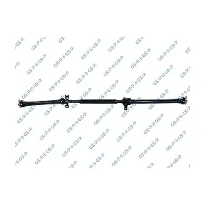 GSP PS900567