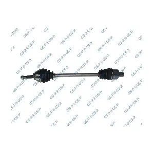 250063 GSP