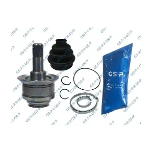 GSP 605020