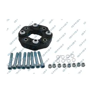 538509S GSP