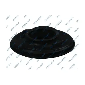 510198 GSP