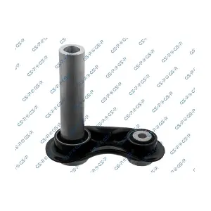 GSP S060068