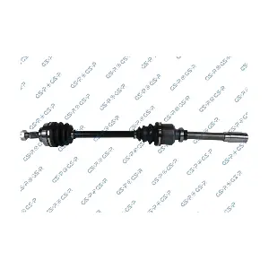 GSP 210383