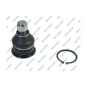 GSP S080818