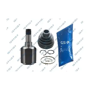602506 GSP