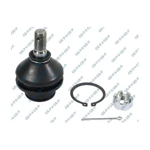 GSP S080058