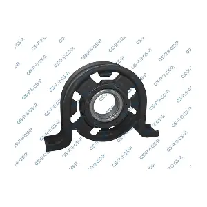 510489 GSP