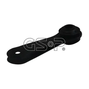 510895 GSP