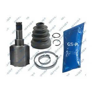 609010 GSP