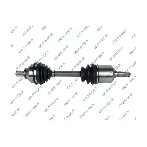 GSP 218290