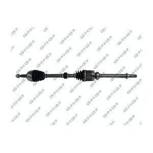 GSP 250586