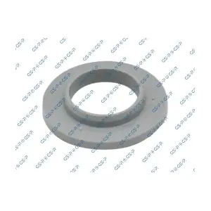 530699 GSP