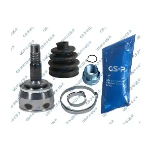 GSP 899018