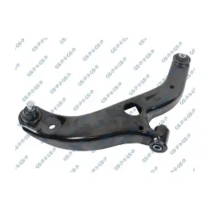 GSP S060565
