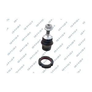 S081199 GSP