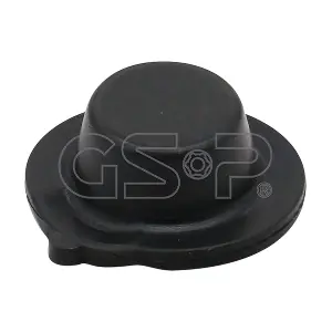 530195 GSP