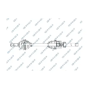 GSP 256859