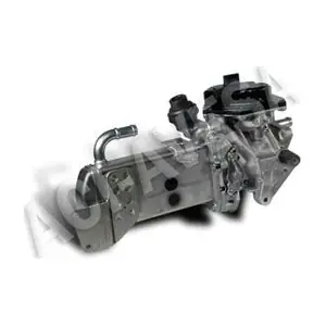 AEGR-938 ACI-AVESA