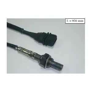 SLS13292 ACI-AVESA