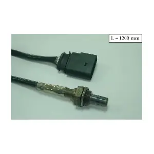 SLS13347 ACI-AVESA