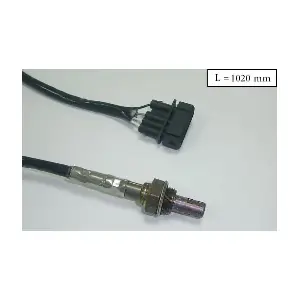 SLS13345 ACI-AVESA