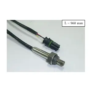 SLS13343 ACI-AVESA