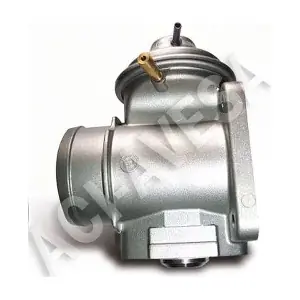 AEGR-613 ACI-AVESA