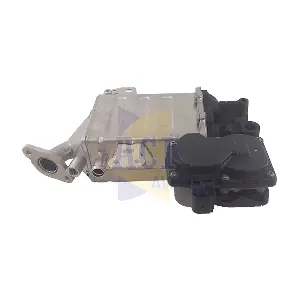 AEGR-1119 ACI-AVESA