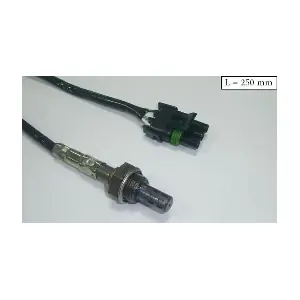 SLS13290 ACI-AVESA