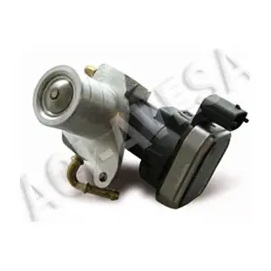 AEGR-806 ACI-AVESA