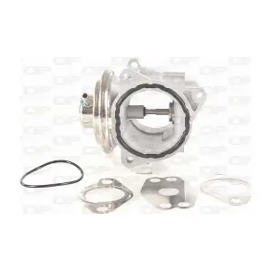 OPEN PARTS EGR3002.00
