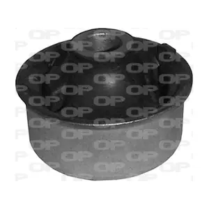 OPEN PARTS SSS1202.11