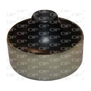 OPEN PARTS SSS1029.11