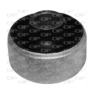 OPEN PARTS SSS1017.11