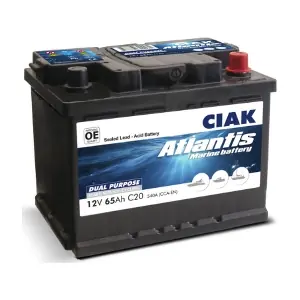 0202333 CIAK Starter