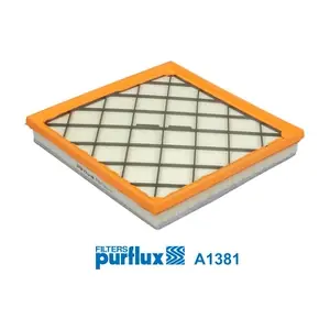 A1381 PURFLUX