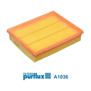 PURFLUX A1036