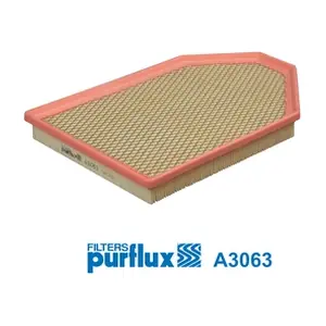 PURFLUX A3063