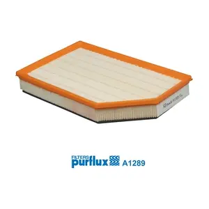 A1289 PURFLUX