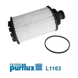 L1163 PURFLUX