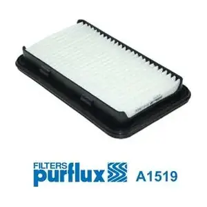 PURFLUX A1519