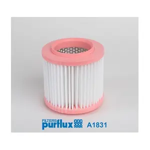 A1831 PURFLUX