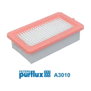 PURFLUX A3010